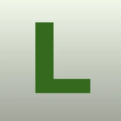 Liselli, магазин обуви, лого-визитка