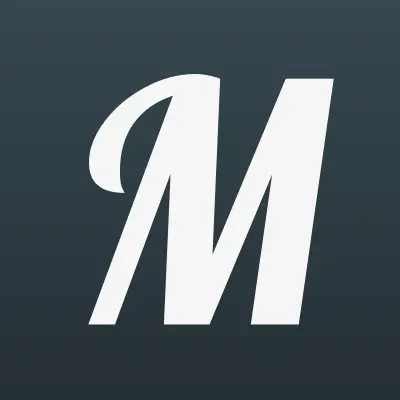 Миасские металлические сетки, торговая компания, лого-визитка