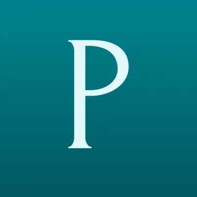 PRINT PANDA74, студия печати футболок и сувенирной продукции, лого-визитка