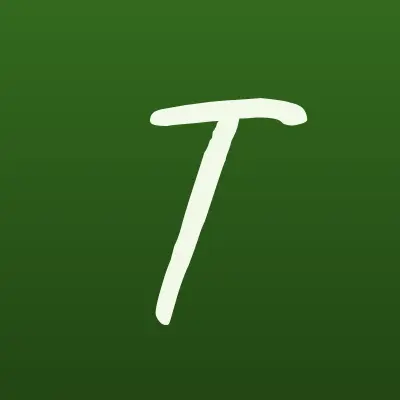 ТЕЛЕШКО, федеральная школа телевидения, лого-визитка