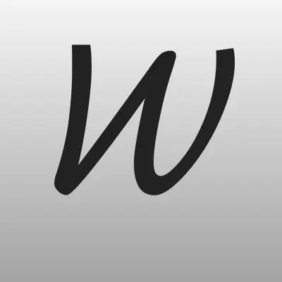WEB курьер, веб-студия, лого-визитка